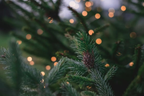 North Cornwall Commons to host first tree-lighting ceremony on Dec. 5